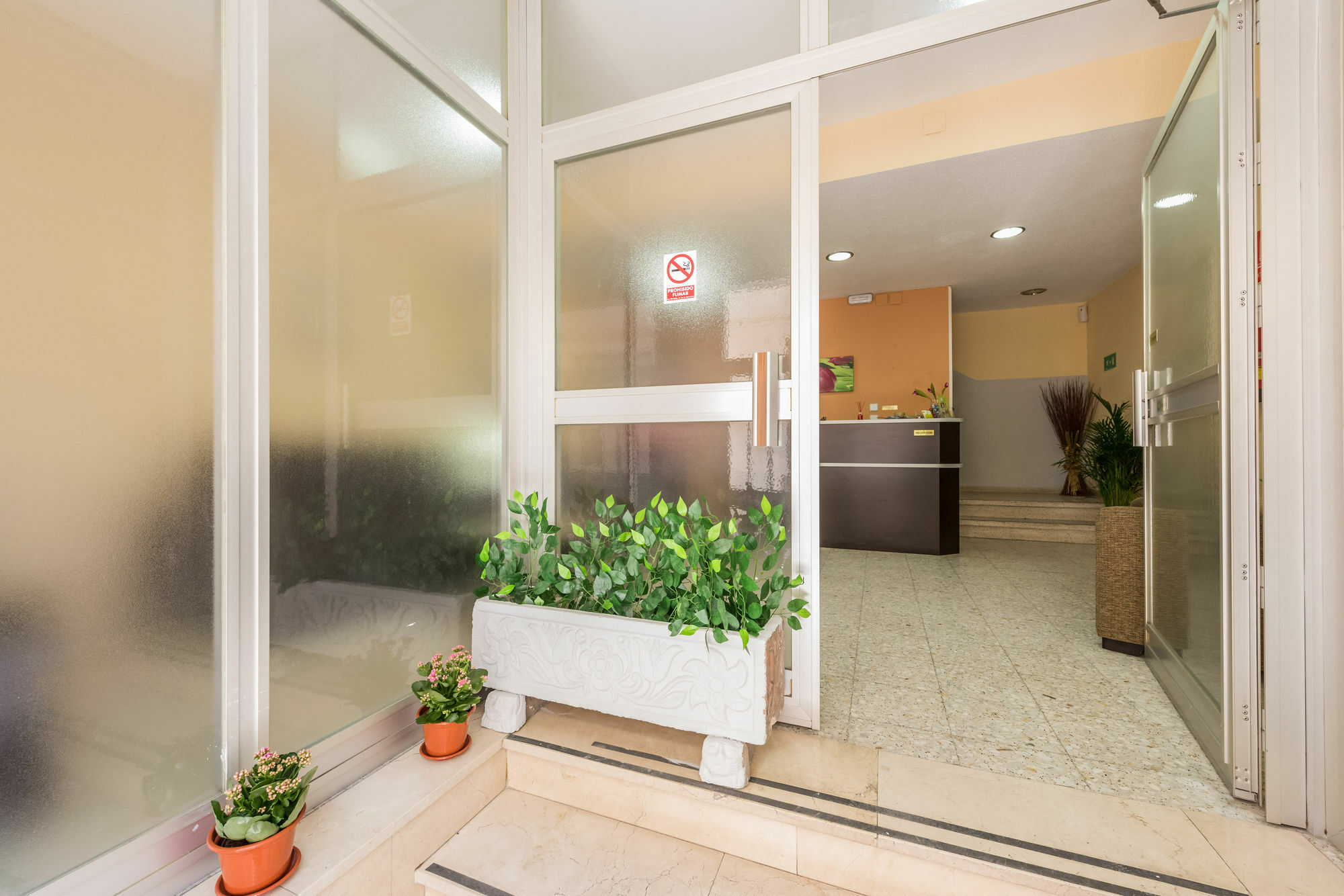 Hostal Arkanta 阿尔甘达·德尔·雷伊 外观 照片